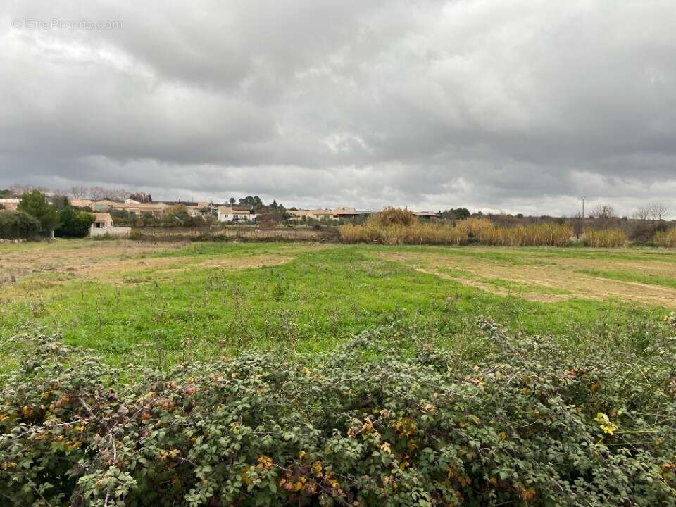Terrain à PUISSERGUIER