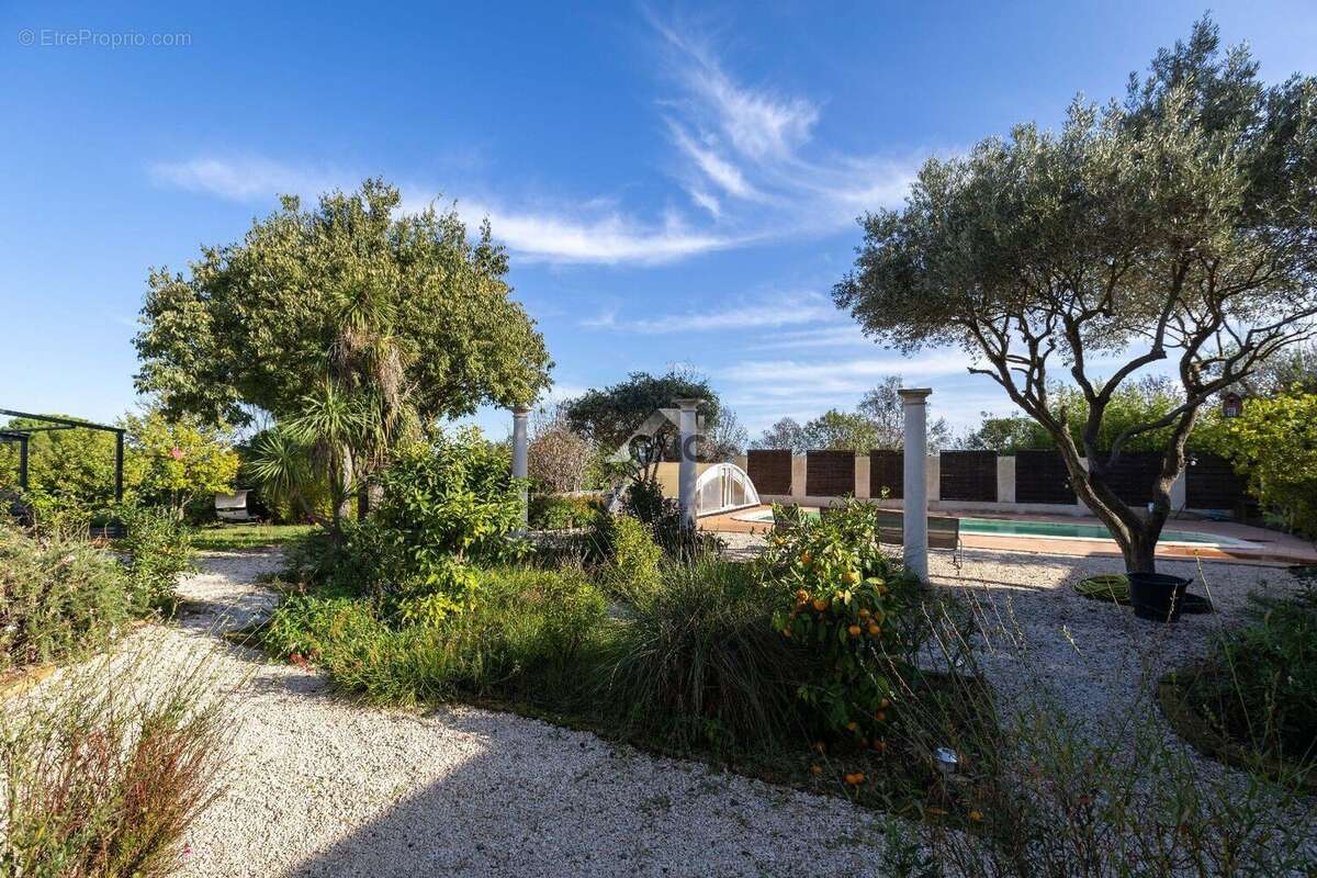 Photo 5 - Maison à TOURBES