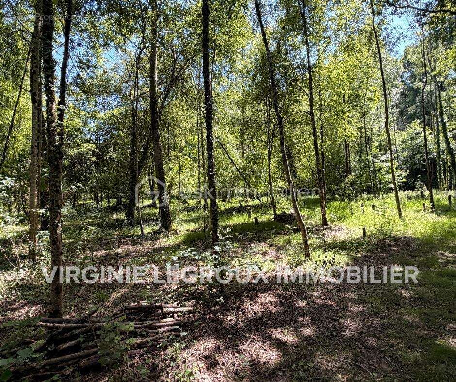 Terrain de loisirs de 15.000m2 avec pièce d'eau et verger - photo 5