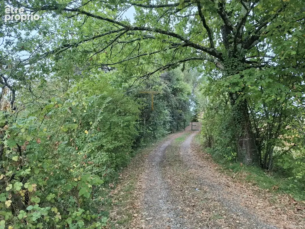 Longère en pierres avec piscine, grange et prairie, à 20 minutes d'Agen et de Villeneuve sur Lot - photo 24