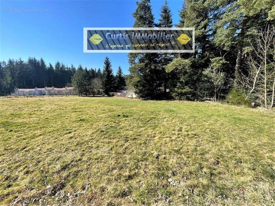 Terrain à SAINT-PAL-DE-MONS