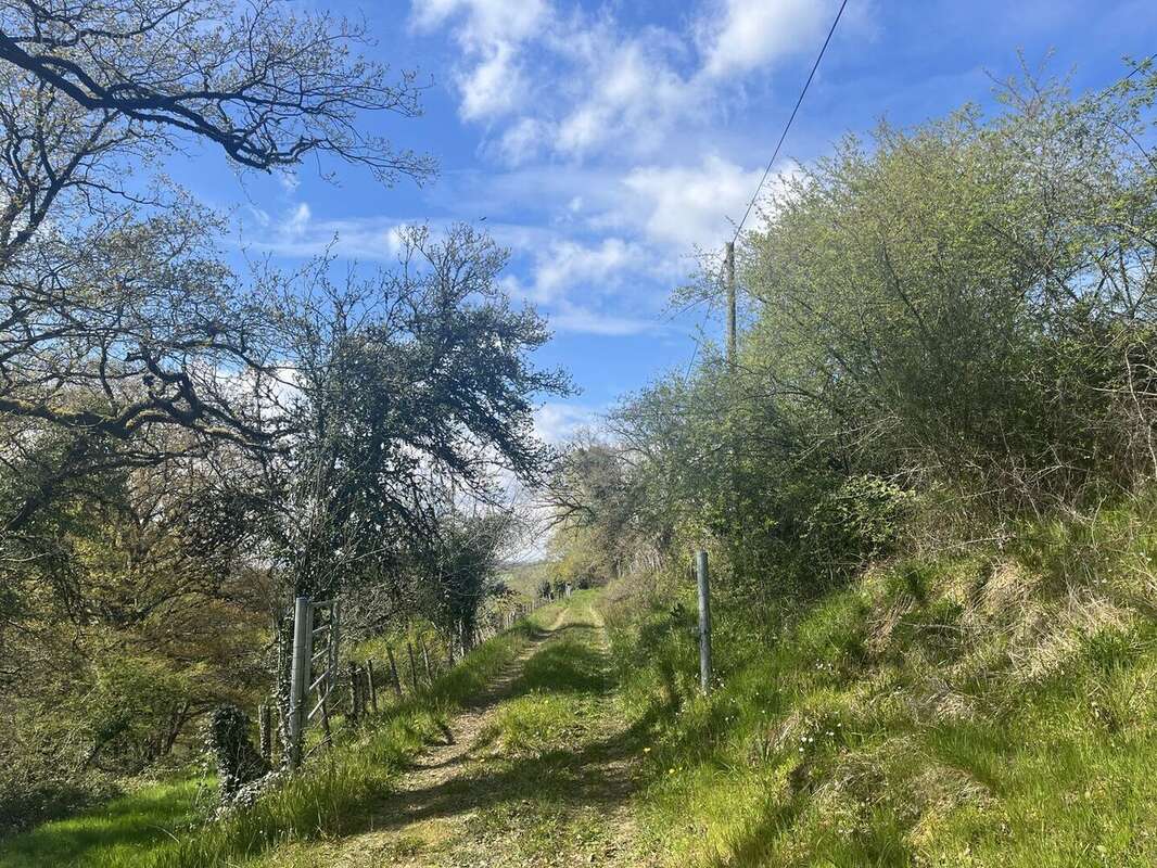 Accès côté propriété - Maison à BAGNAC-SUR-CELE
