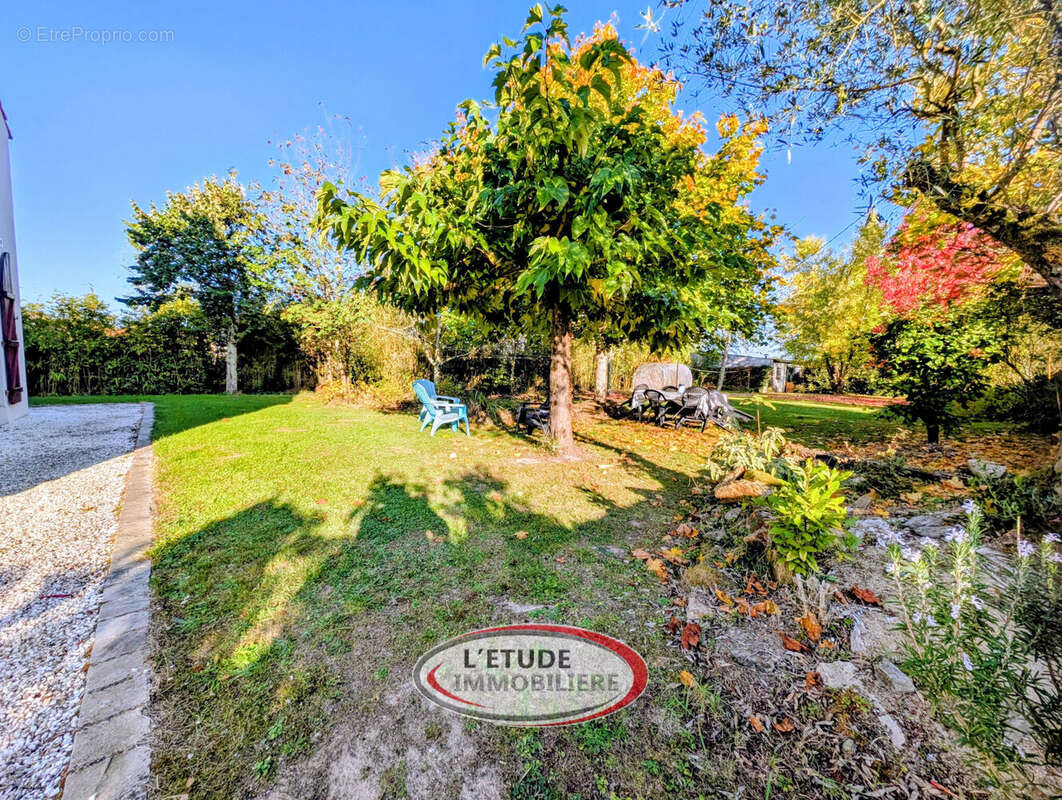 Photo 2 - Maison à CHATEAU-THEBAUD