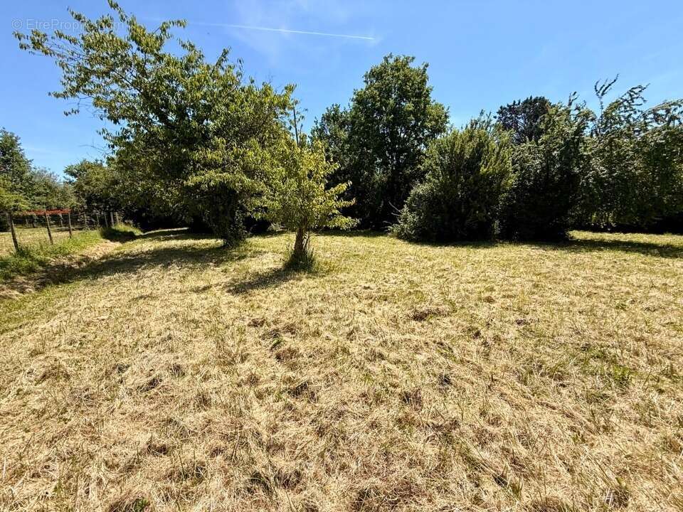 Terrain 1000 m² à Bergerac  - photo 2