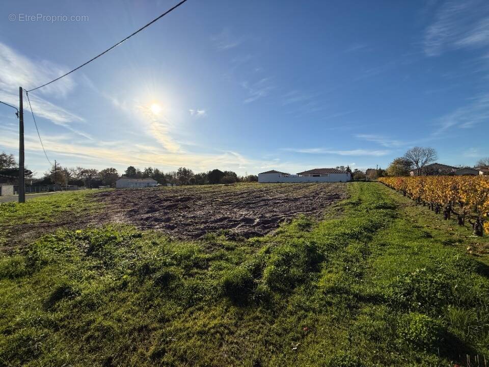 Terrain à CUSSAC-FORT-MEDOC