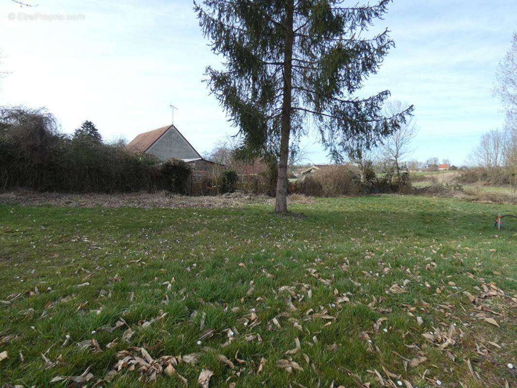 Terrain à BONCOURT
