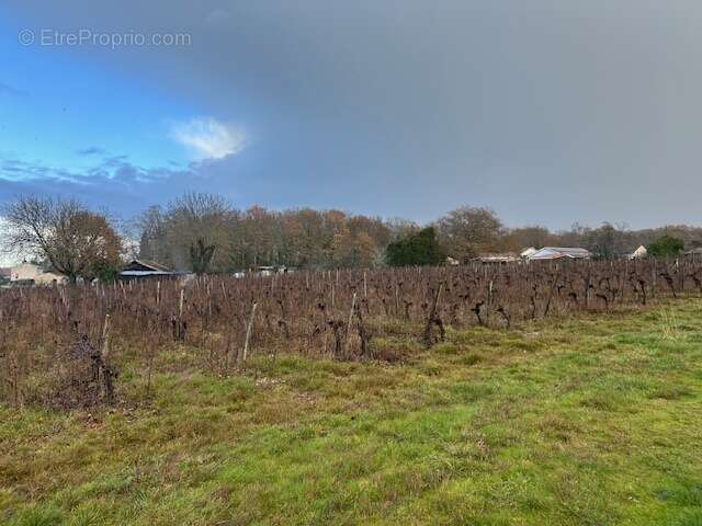 Terrain à CASTRES-GIRONDE