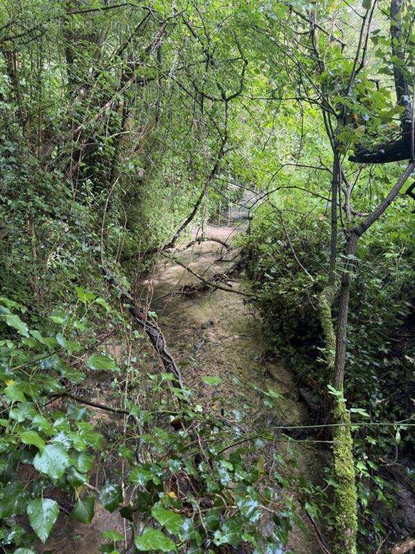 Magnifique terrain d'agrément à Bellême (61130) avec pièce d'eau - photo 6