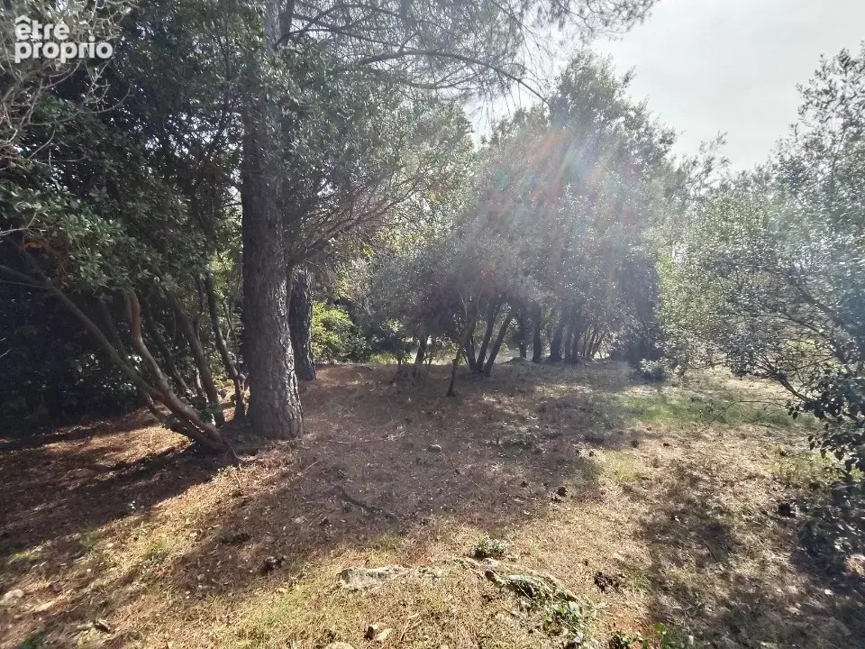 Terrain 910 m² à vendre à Camps-La-Source (83170) - photo 4
