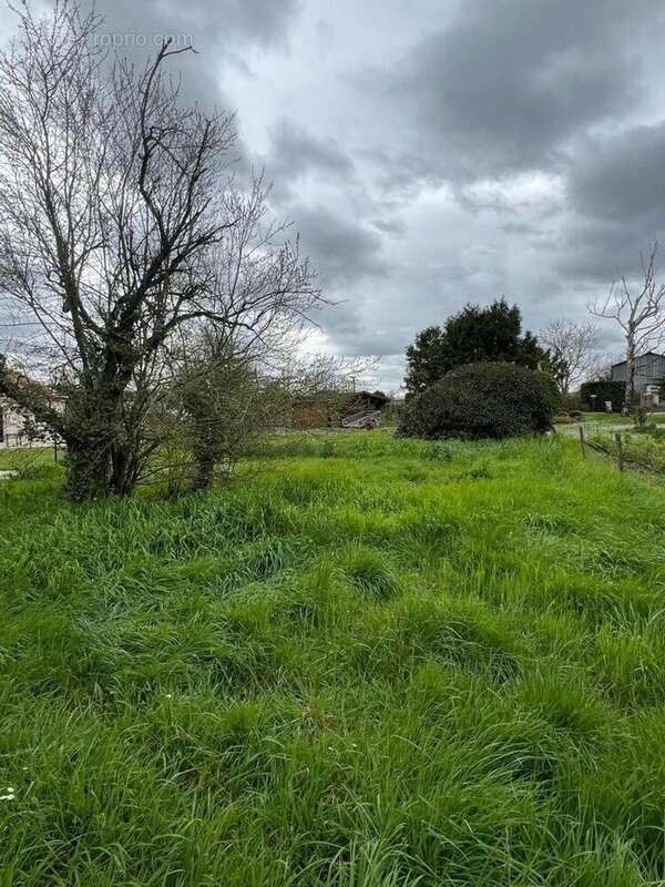 Photo 3 - Maison à LEIGNE-SUR-USSEAU