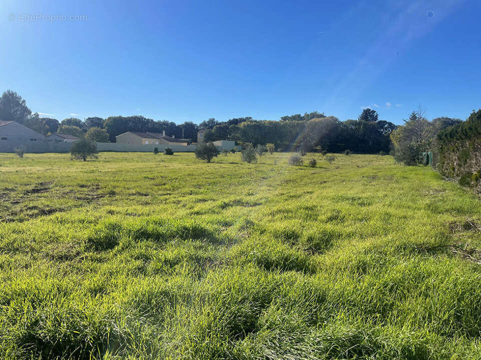 Terrain 500 m² à Canet  - photo 2
