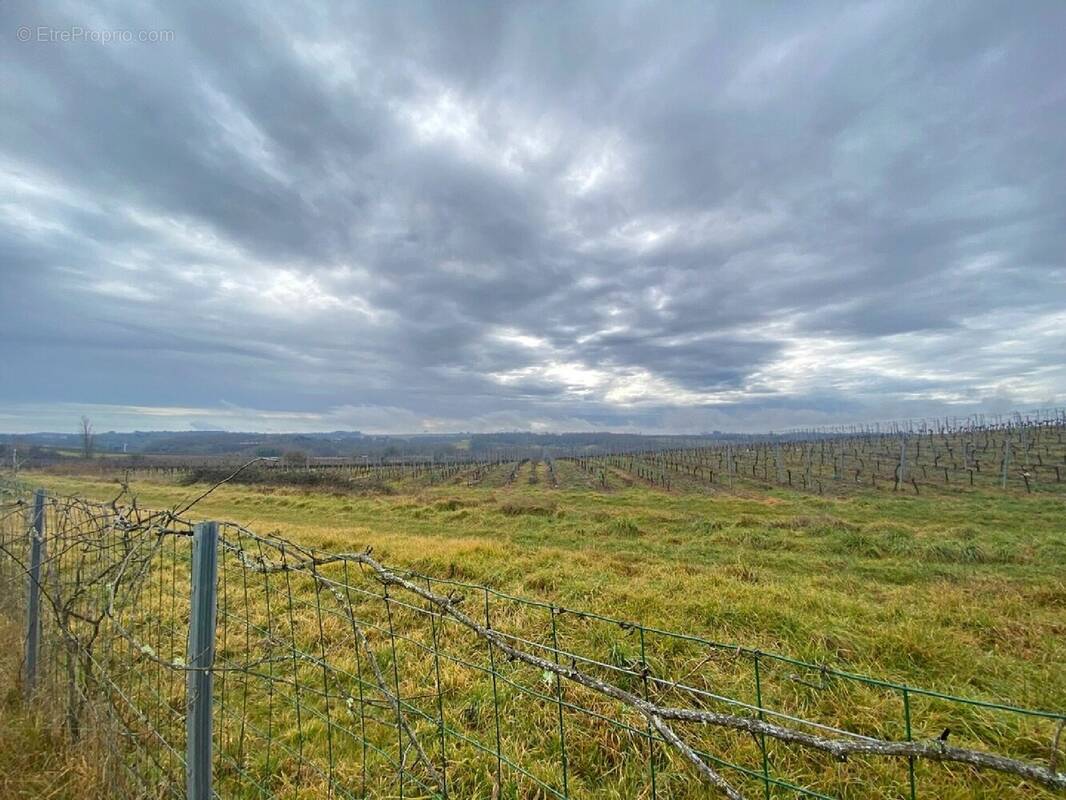 Terrain à PELLEGRUE