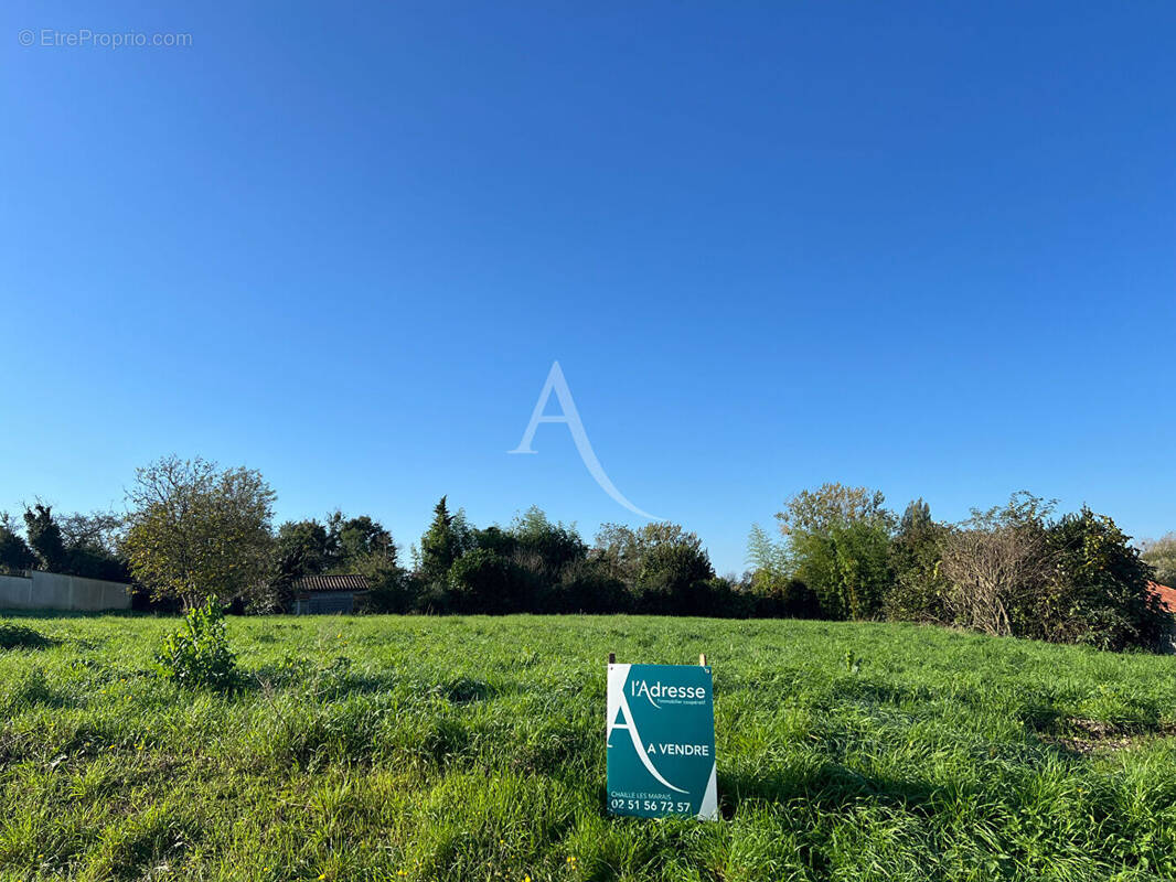 Terrain à MOUZEUIL-SAINT-MARTIN