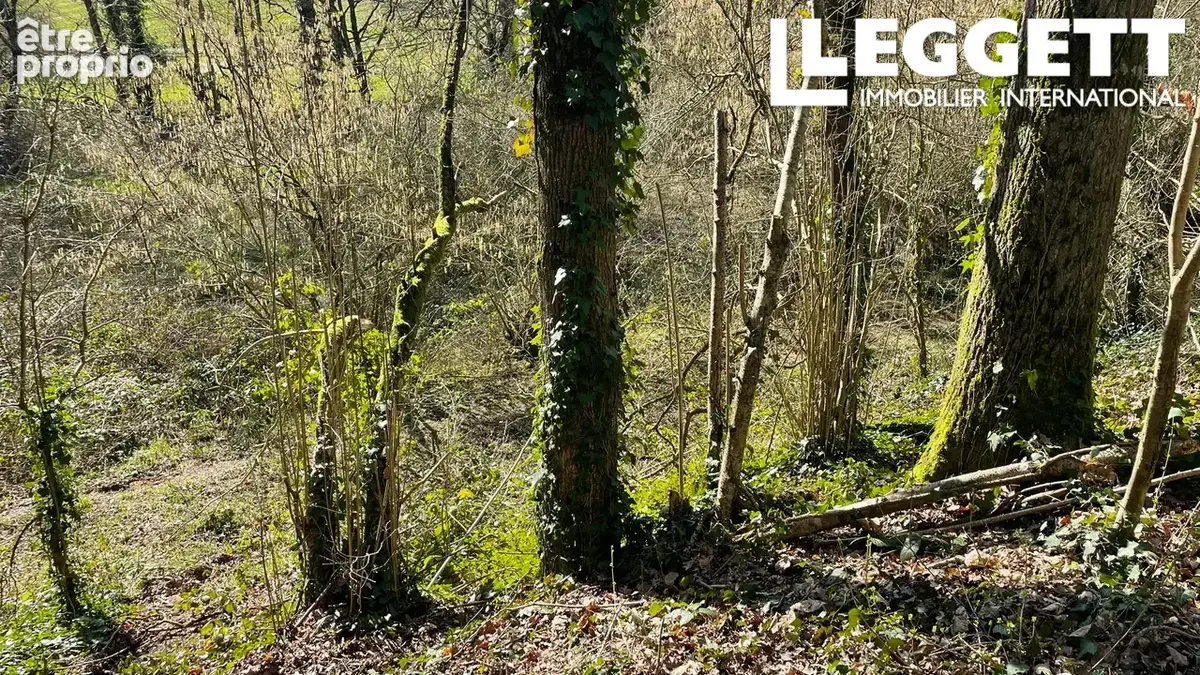 Un terrain boisé, un magnifique espace naturel au cœur de la Bretagne centrale - photo 4