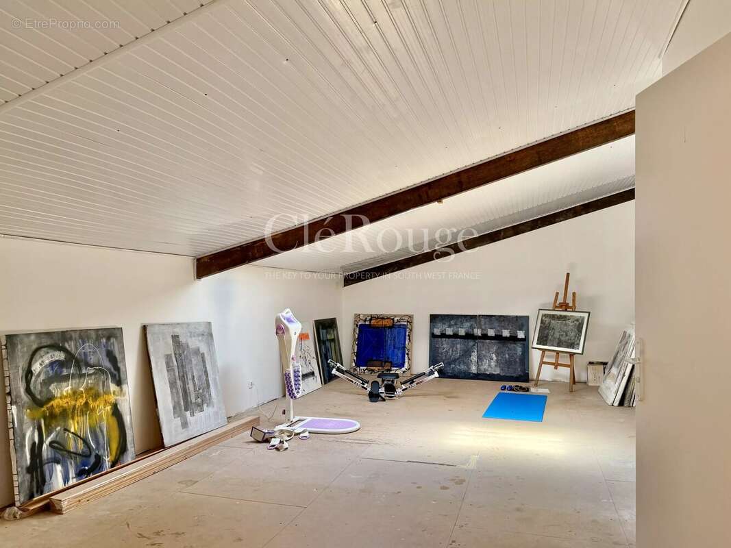 Près de Sauveterre de Guyenne - Belle maison avec gîte et piscine - photo 25
