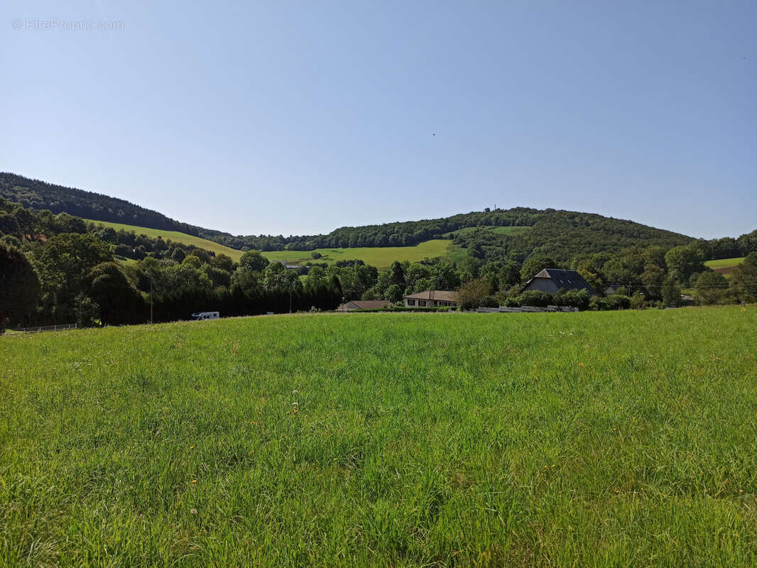 Terrain à LA SALVETAT-SUR-AGOUT