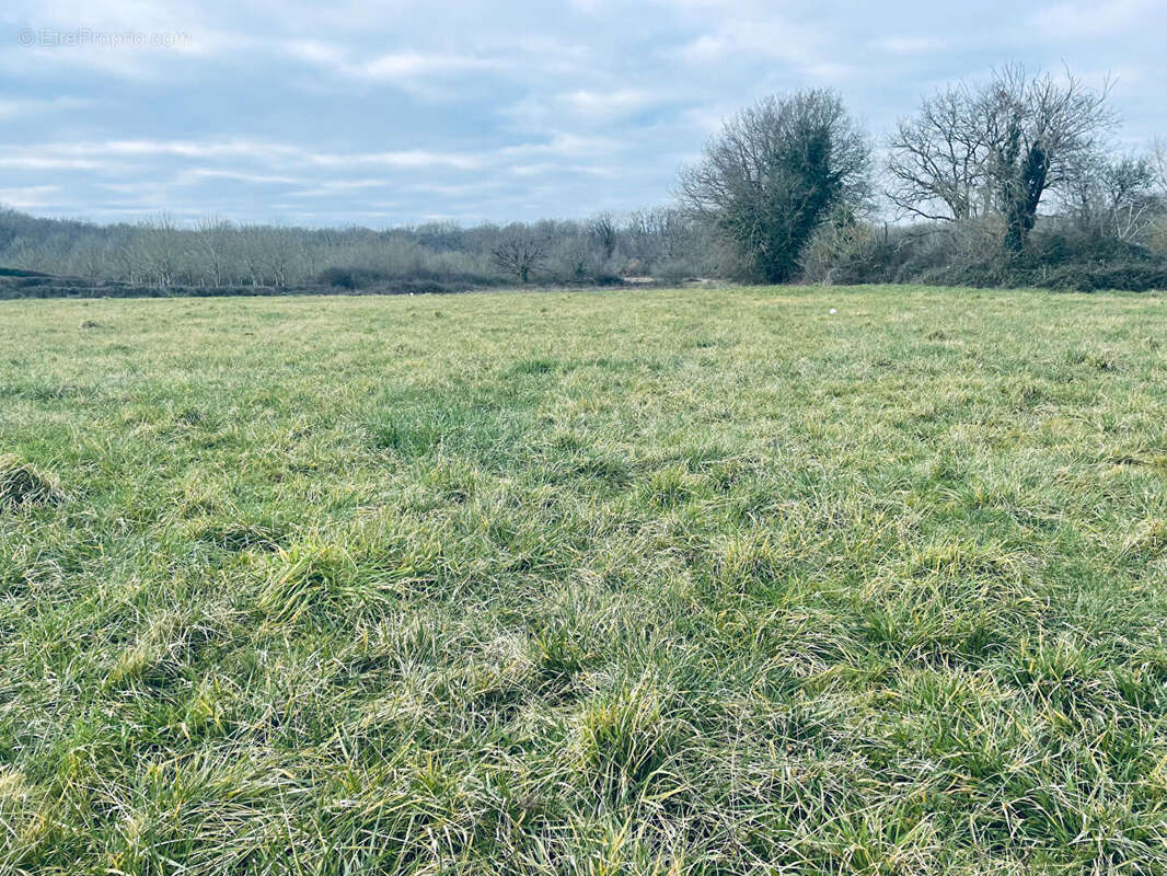 Terrain à LES FORGES