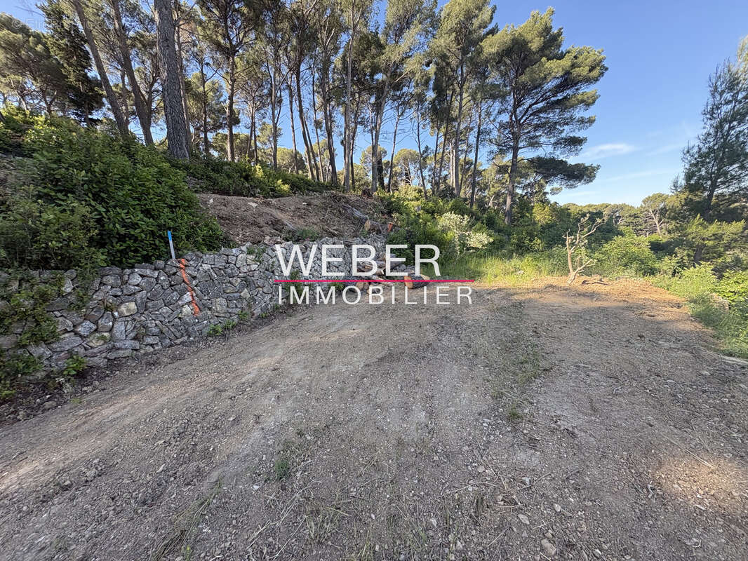 Ollioules - terrain a batir 6400 m2- vue degagee - photo 2