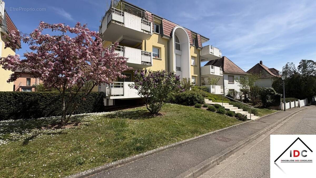 Appartement à MOLSHEIM