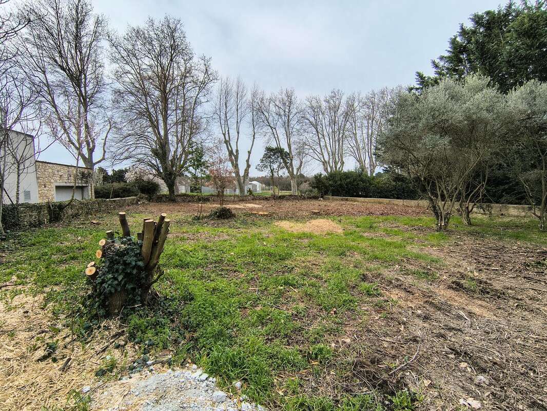 Terrain 465 m² à Saint-Cannat  - photo 2
