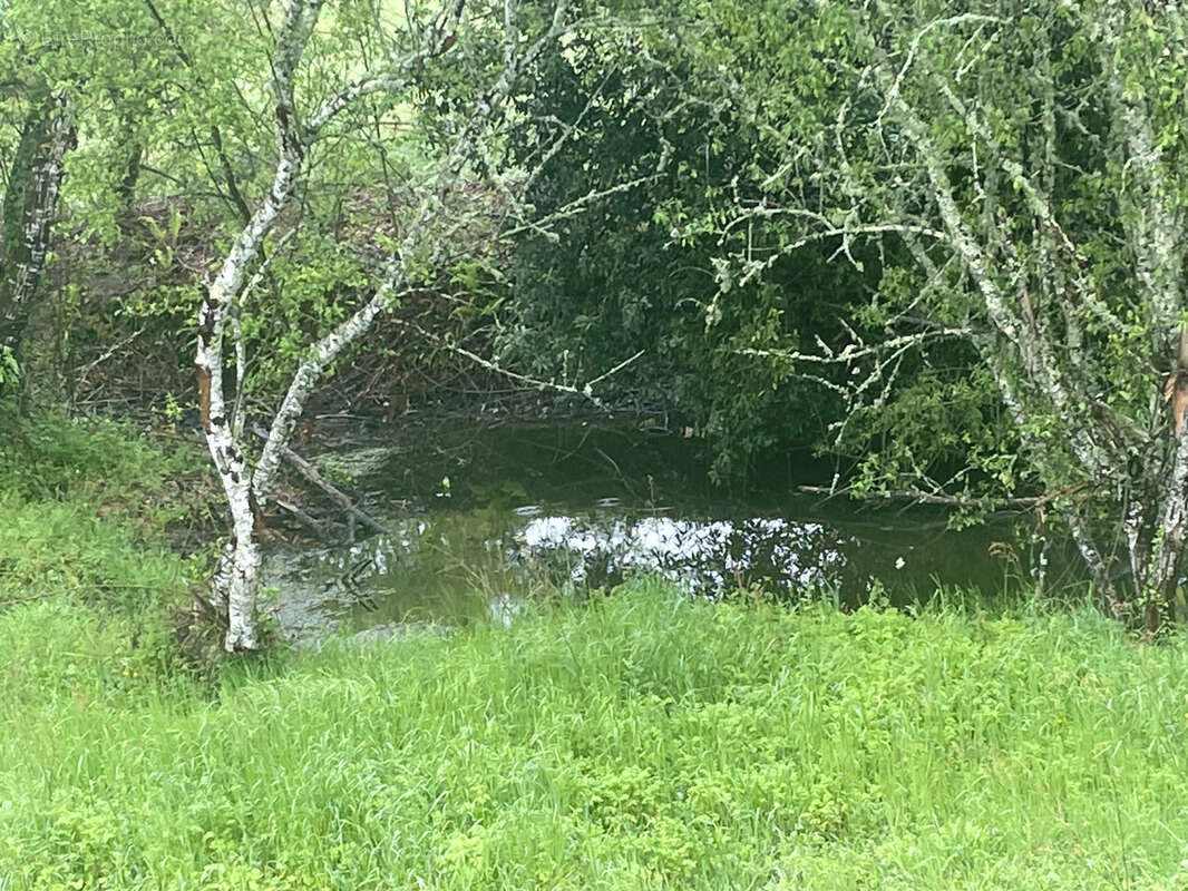 Maison à VILLENEUVE-DE-MARSAN