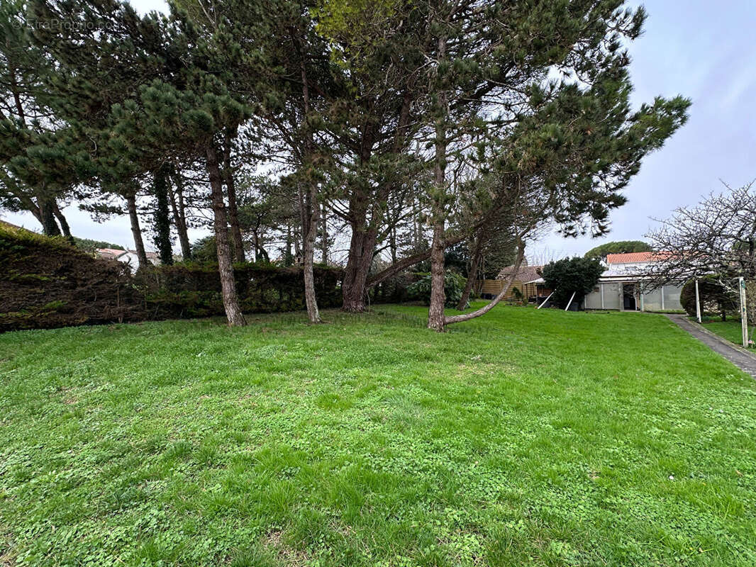 Maison à MESCHERS-SUR-GIRONDE