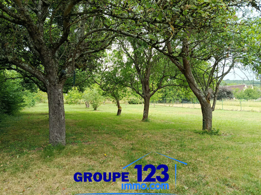 Villa de 2009, vie de plain pieds, 3 chambres, piscine chauffée et jardin arboré de 3600 m2 - photo 10
