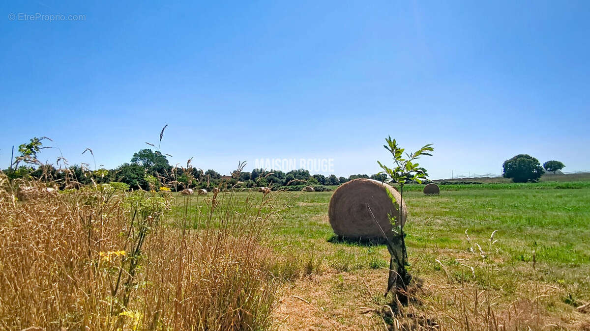 Propriété en pierres avec 4 hectares de terrain, dépendances , vie de plain pied, au calme - photo 23