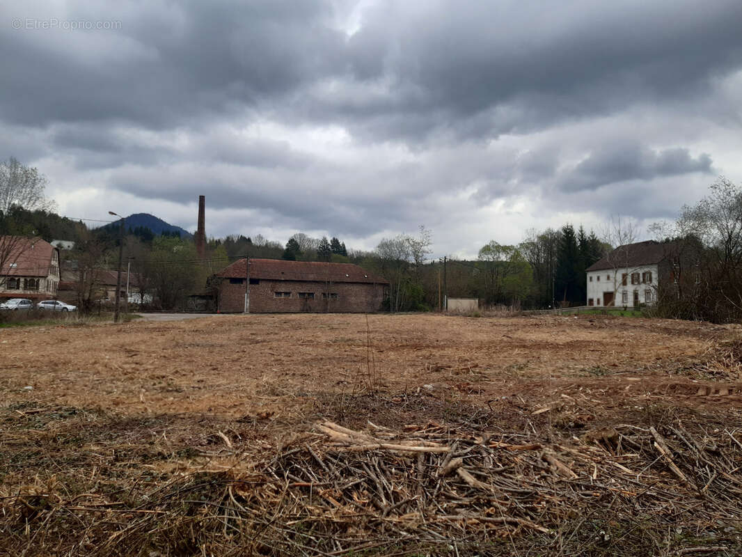 Terrain à LA PETITE-RAON