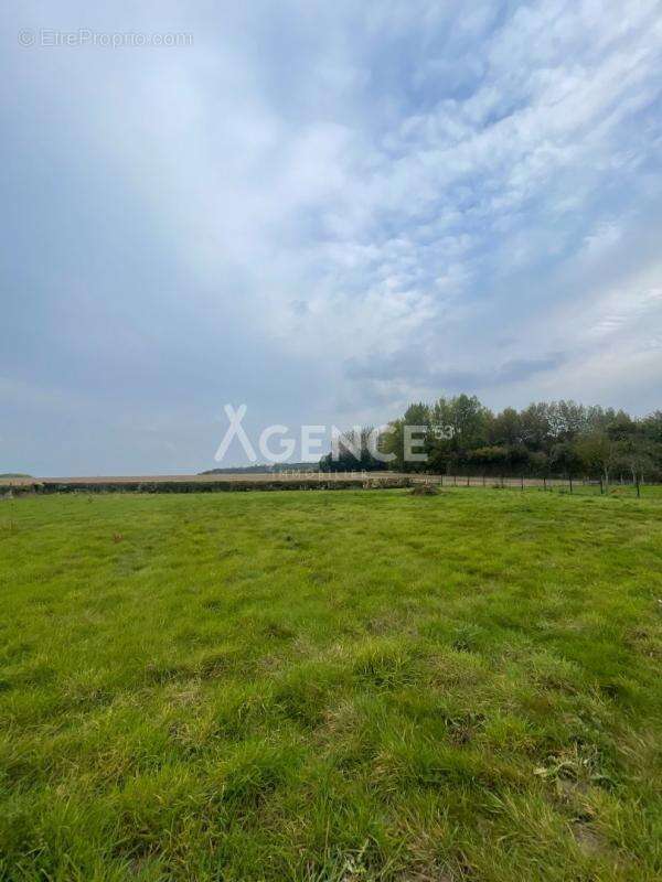 Terrain à FEBVIN-PALFART