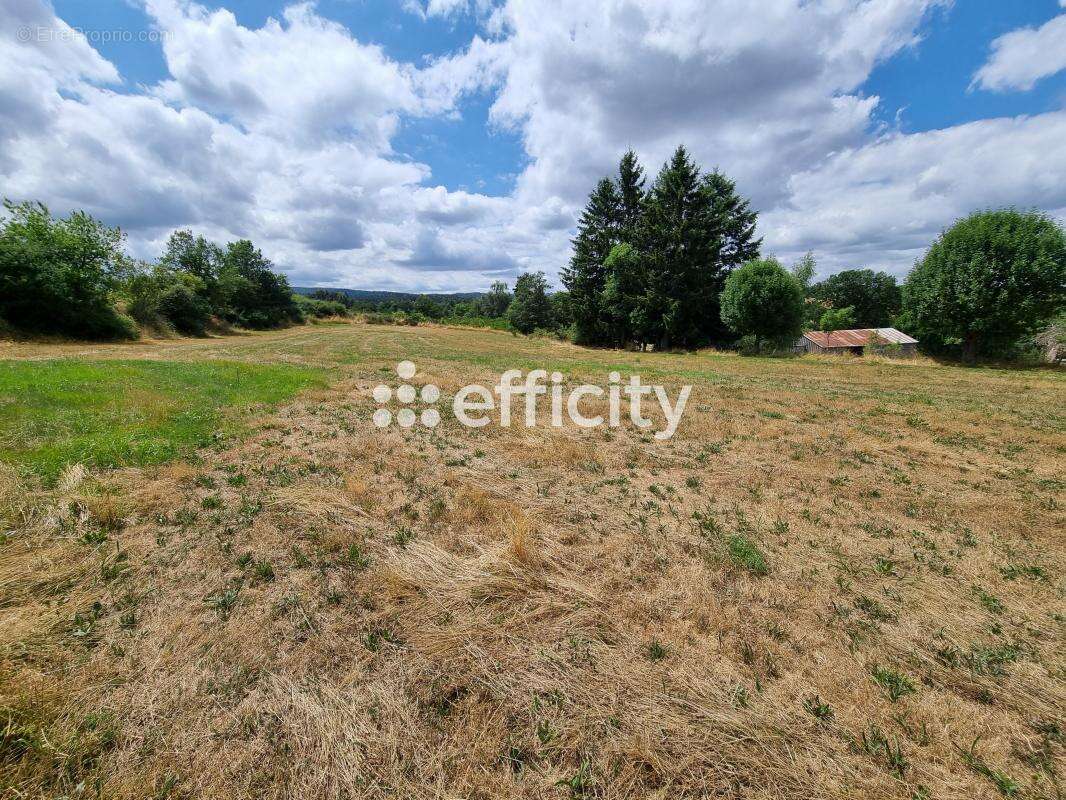 Terrain 4460 m² à Blavignac  - photo 2