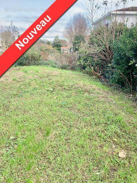   - Terrain à TOULOUSE