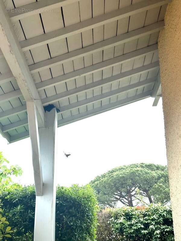 Maison à ANDERNOS-LES-BAINS