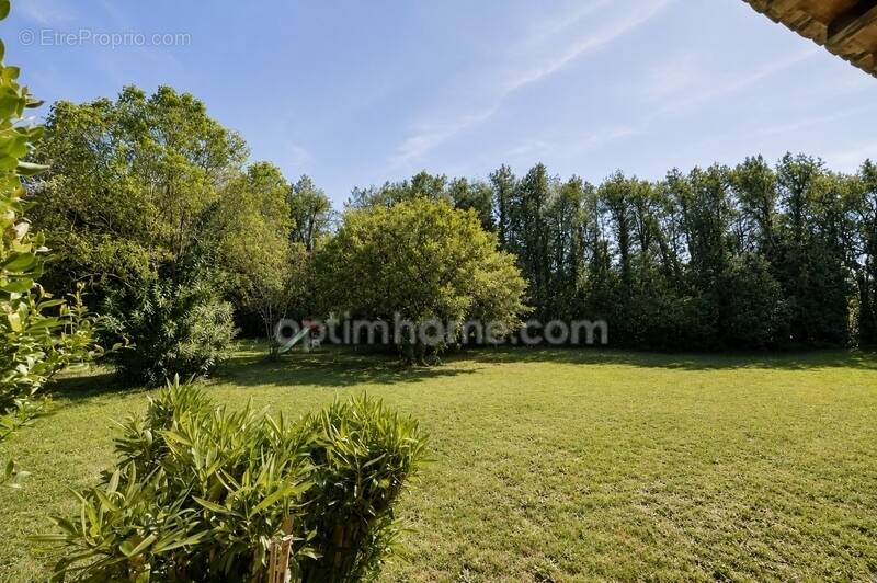 Maussane-les-Alpilles Maison 180 m2 avec 2440 m2 de terrain - photo 1