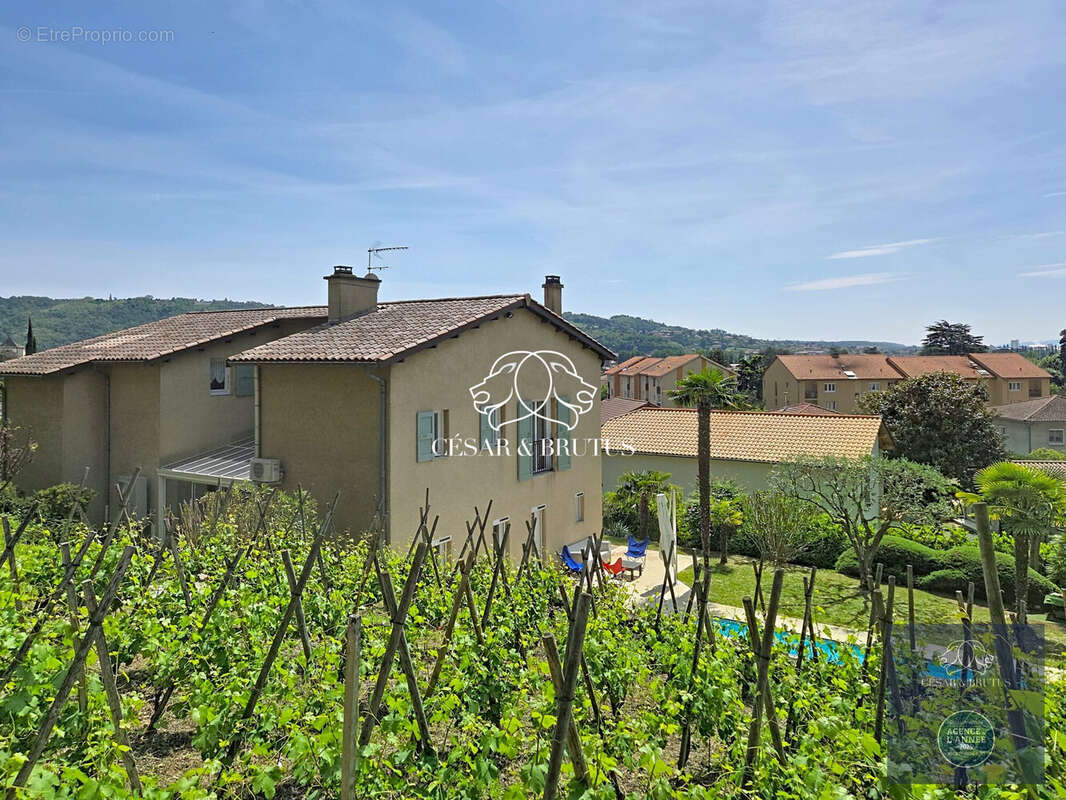 Vue des vignes pouvant être acquises - Maison à CONDRIEU
