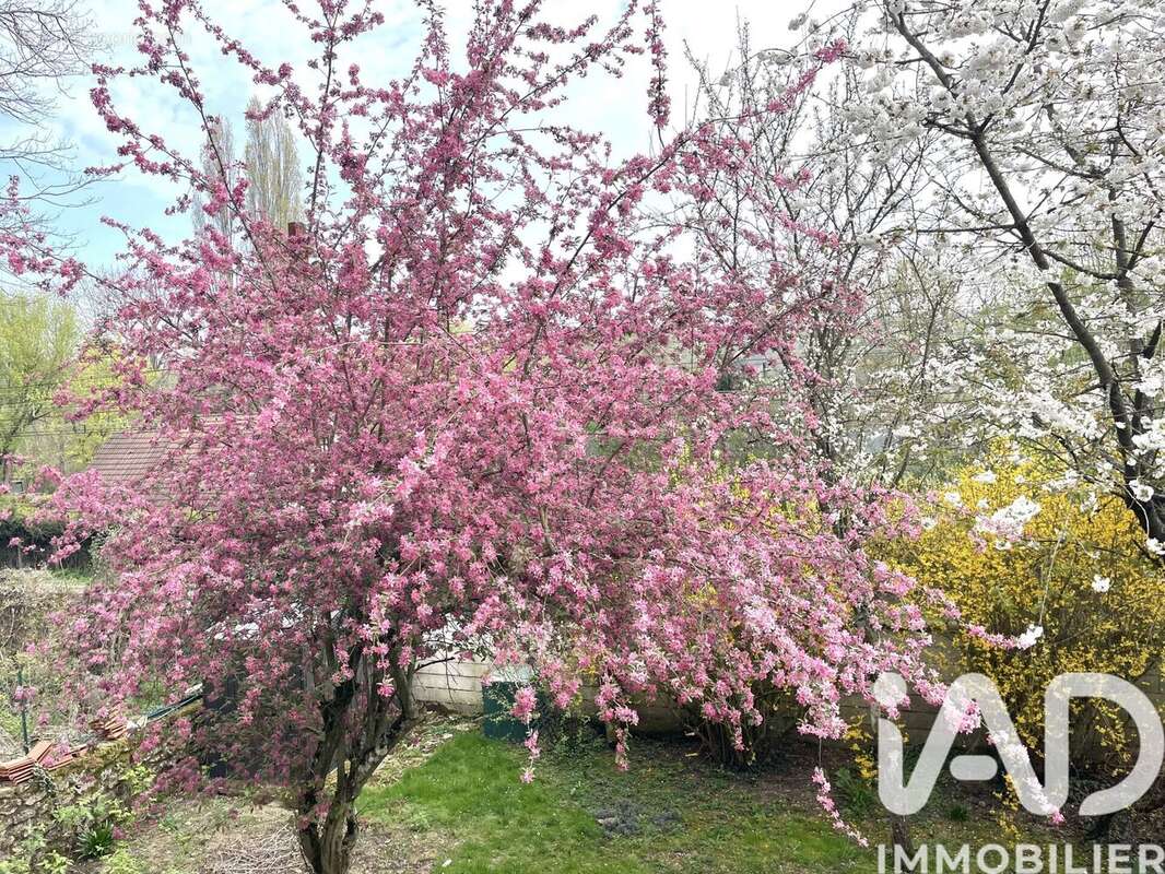 Photo 2 - Maison à RIS-ORANGIS