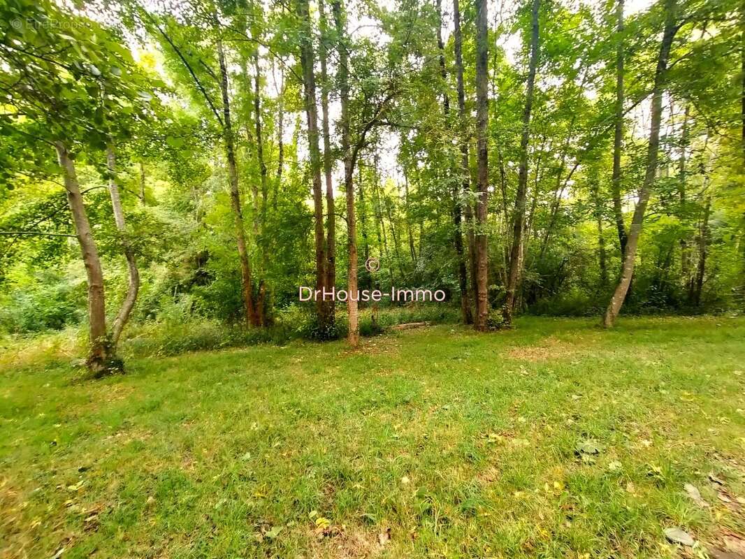 Terrain à SAINT-GEORGES-LES-BAILLARGEAUX