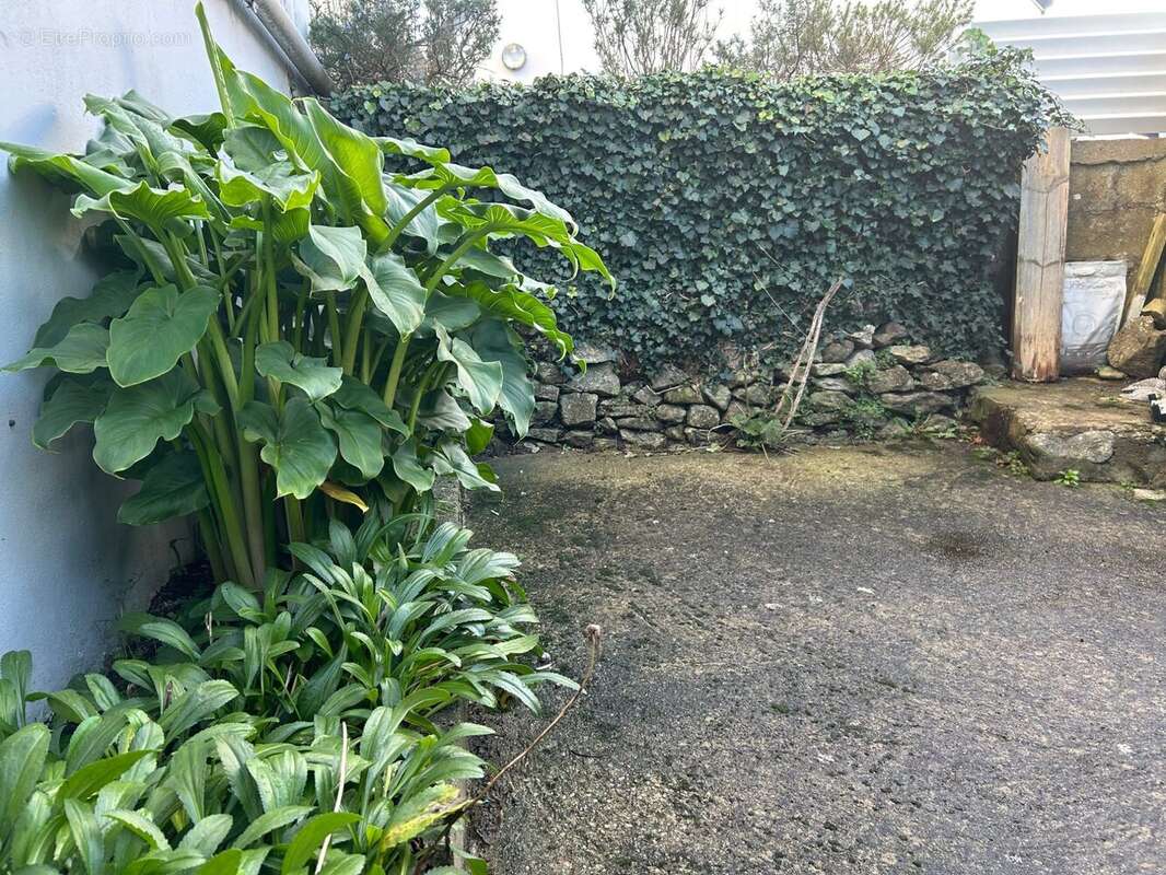 Maison à DOUARNENEZ