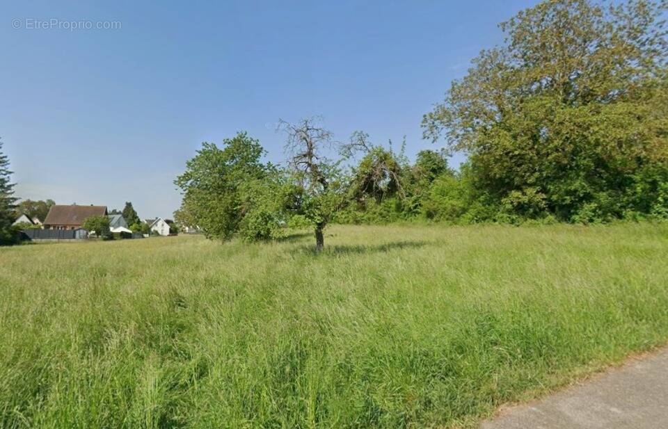 Terrain à HOCHSTATT