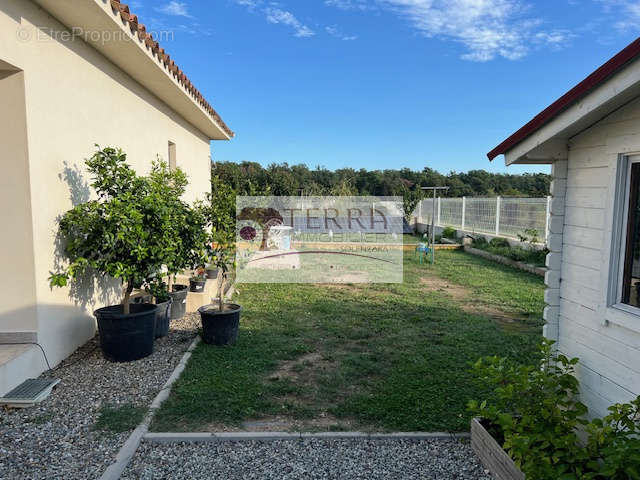 Maison à PRUNELLI-DI-FIUMORBO