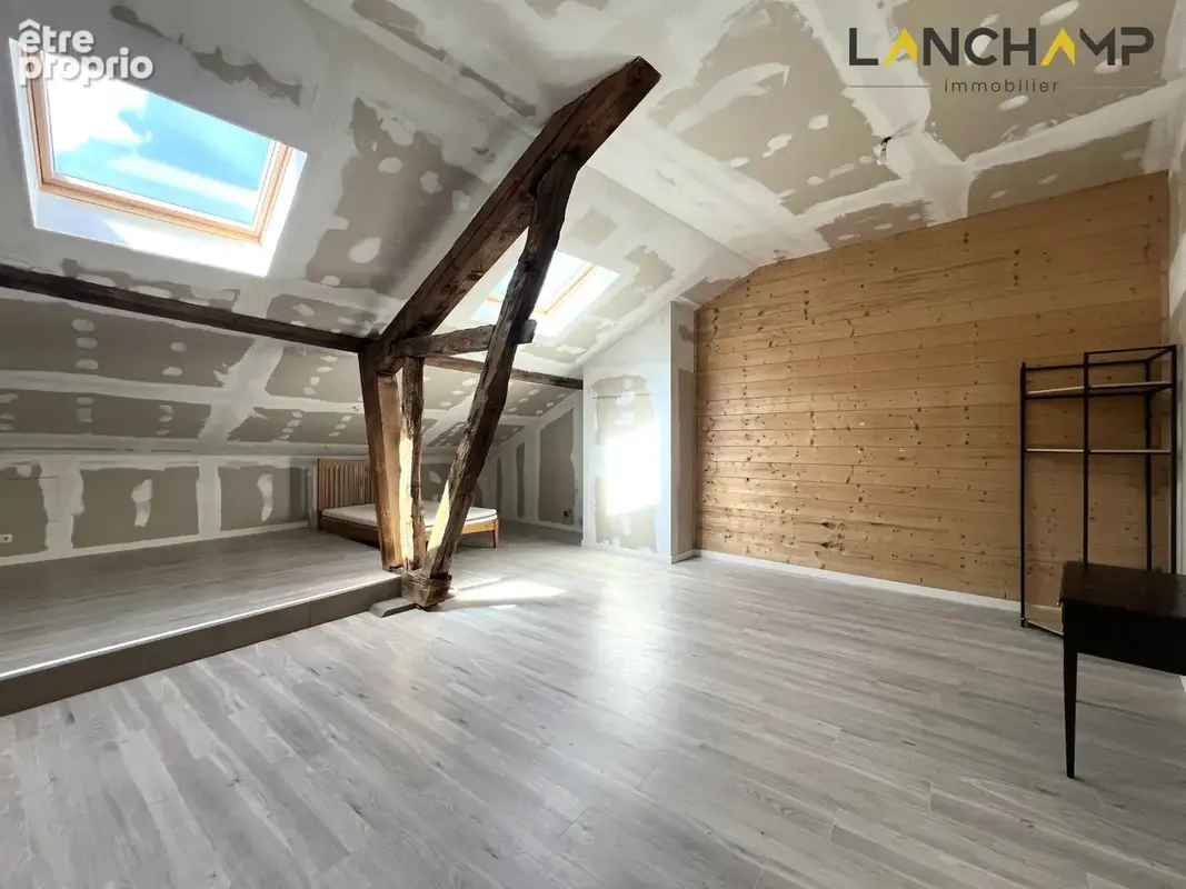 Maison de caractère de 190m2 avec jardin vue Rhône - photo 9