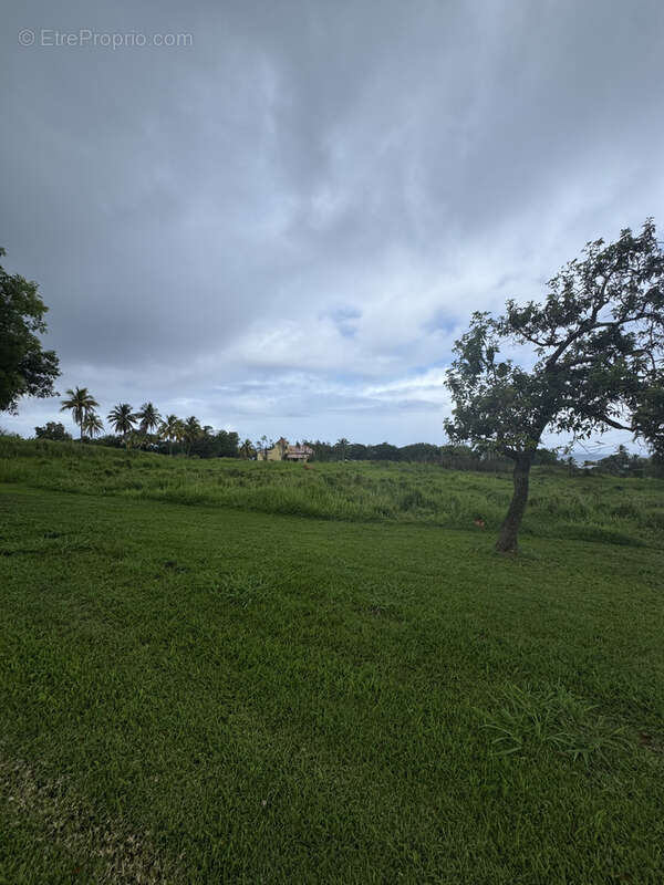 Terrain à CAPESTERRE-BELLE-EAU