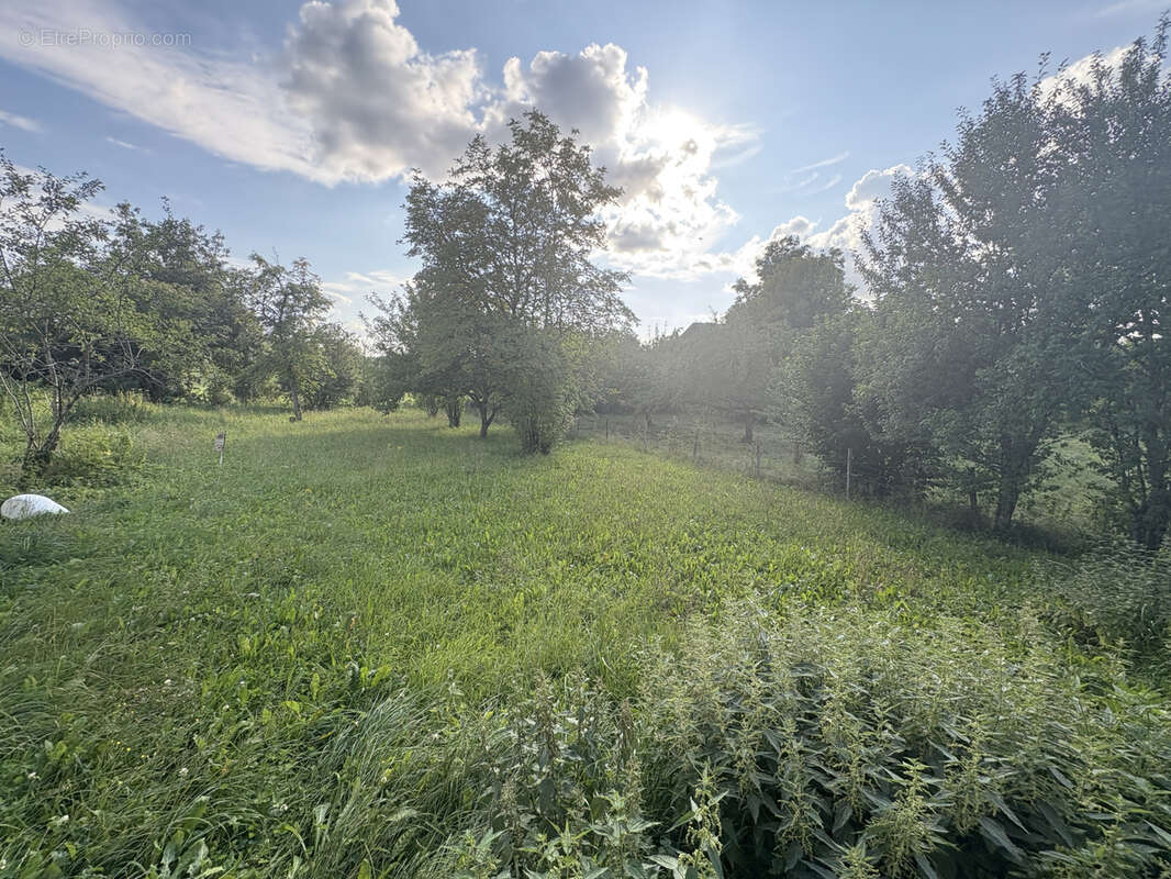 Maison à VILLERS-SOUS-CHALAMONT
