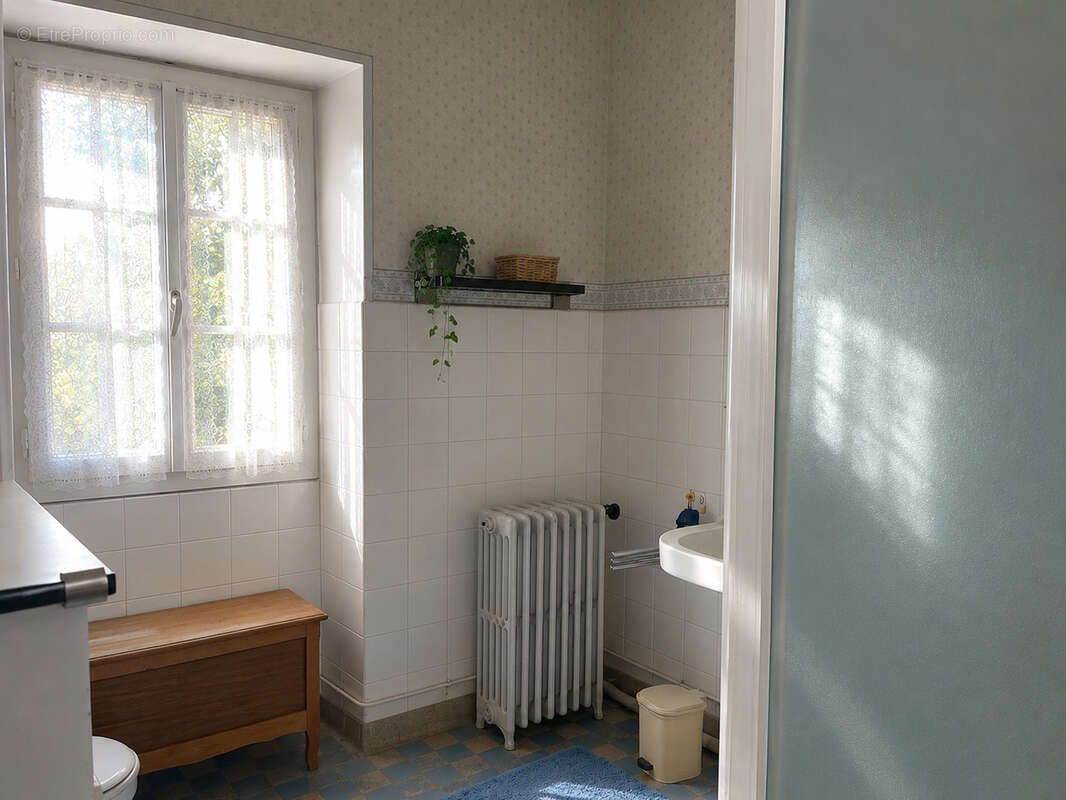 Propriété de caractère avec maison d'amis indépendante   Centre de Bourgueil - photo 13