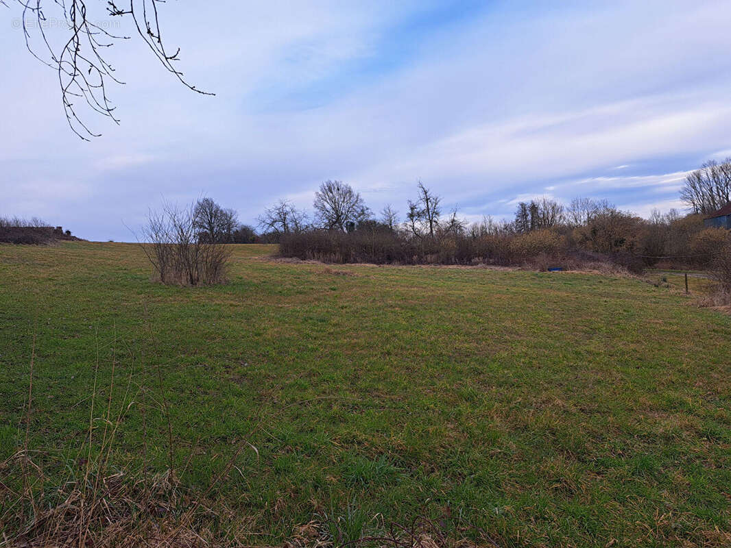 Terrain à NOVION-PORCIEN