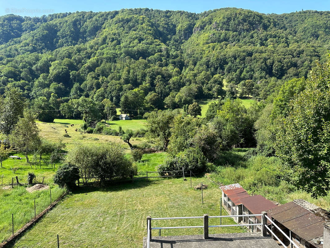 Maison à SAINT-VINCENT-DE-SALERS