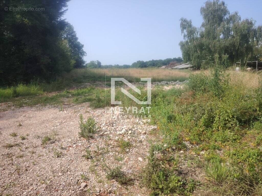 Terrain à SAINT-MARTIN-EN-BRESSE