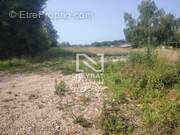 Terrain à SAINT-MARTIN-EN-BRESSE