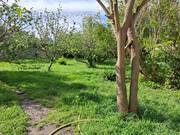 Terrain à ENTRAIGUES-SUR-LA-SORGUE