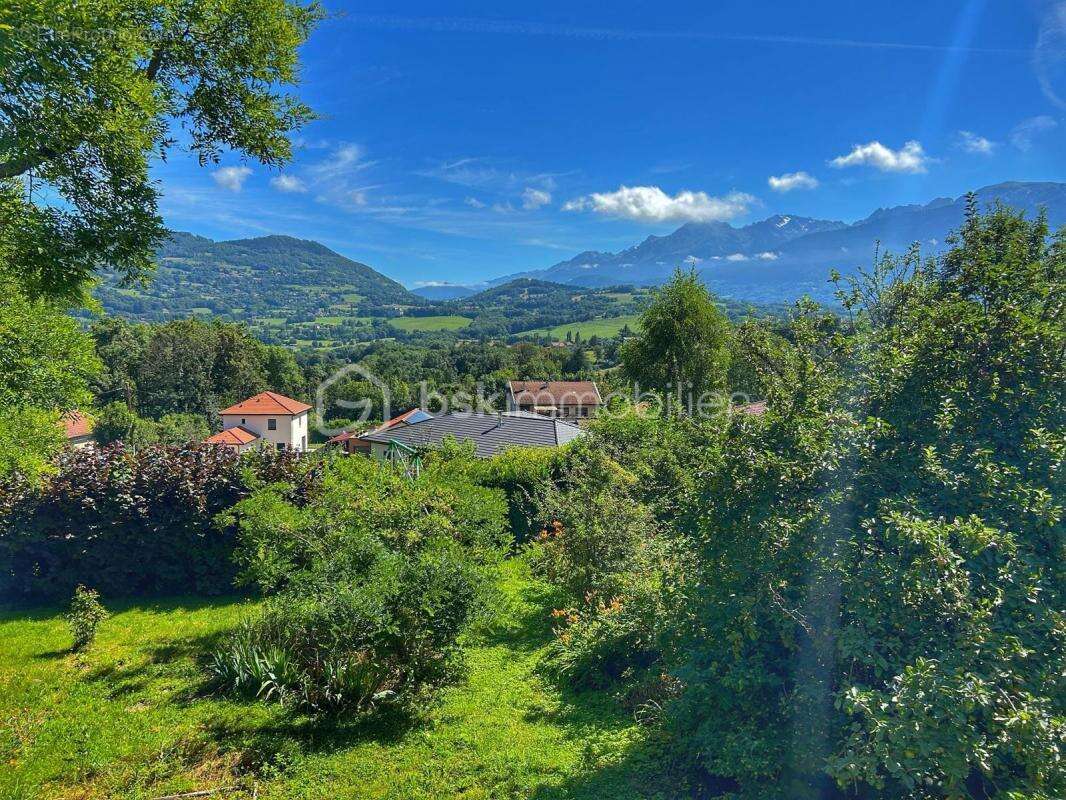Terrain à BRIE-ET-ANGONNES